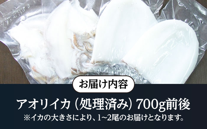 アオリイカ（処理済み） 700g前後 《壱岐市》【ヤマグチ】[JCG018] いか イカ アオリイカ 水イカ 刺身 お刺身 刺し身 ゲソ 魚介 海産物 海鮮 天然 冷凍 いかめし 14000 14000円