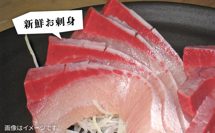 壱岐島産天然寒ブリ（12ｷﾛ台・丸もの） [JBS108]