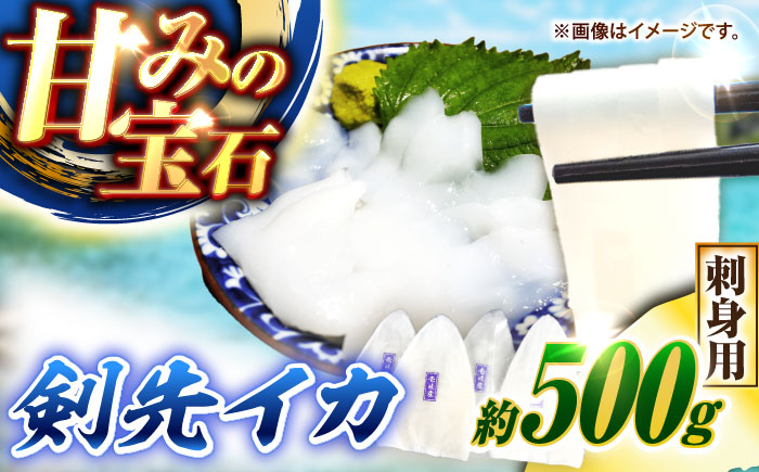 【冷凍】剣先イカ 刺身用 500g　剣先烏賊 《壱岐市》 【一支國屋】海鮮 烏賊 イカ いか 刺身 刺し身 お刺身 剣先イカ 冷凍配送 [JCC024]