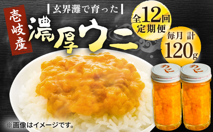 【全12回定期便】壱岐産 濃厚 ウニ 60g ×2本《壱岐市》【合同会社塚元】ムラサキウニ 海産物 海鮮 うに 雲丹 珍味 [JDR036] 400000 400000円 40万円