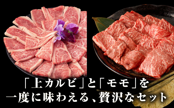 【全12回定期便】【A4〜A5ランク】長崎和牛 焼肉用 モモ・上カルビ 総計900g《壱岐市》【野中精肉店】 牛 牛肉 和牛 赤身 焼肉 焼き肉 カルビ BBQ バーベキュー 食べ比べ ギフト 贈答用 冷凍配送 A4 A5 [JGC042]