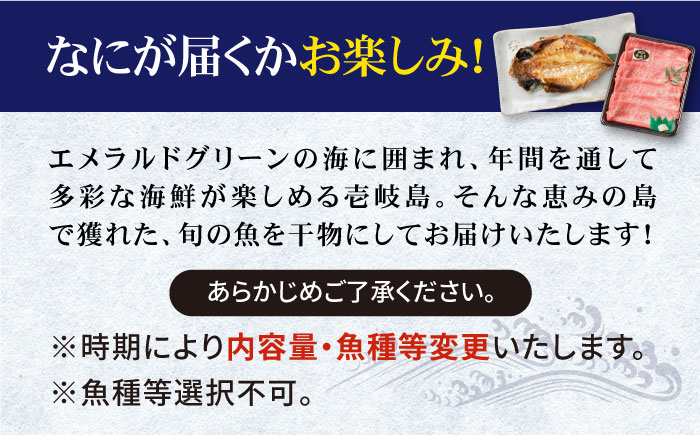 旬の海産物 干物詰め合わせ Eセット（壱岐牛付/肩ロース薄切り）《壱岐市》【マルミ海産物】[JCY005] 28000 28000円 干物 ひもの タイ カマス アジ みりん干し 壱岐牛 黒毛和牛 詰め合わせ セット 手作り