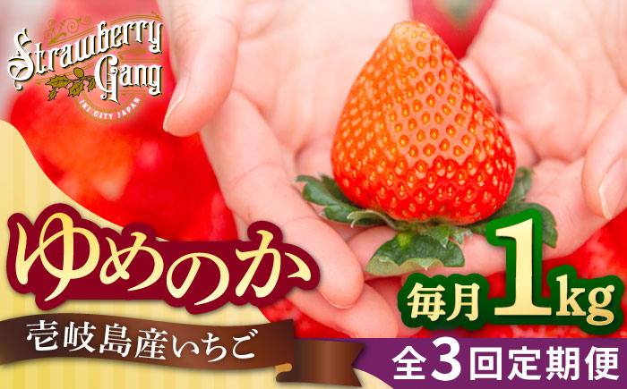 【全3回定期便】【先行予約】ゆめのか 約250g×4パック《壱岐市》【Strawberry Gang】 [JEM002] いちご イチゴ 苺 定期便 果物 フルーツ スムージー 45000 45000円