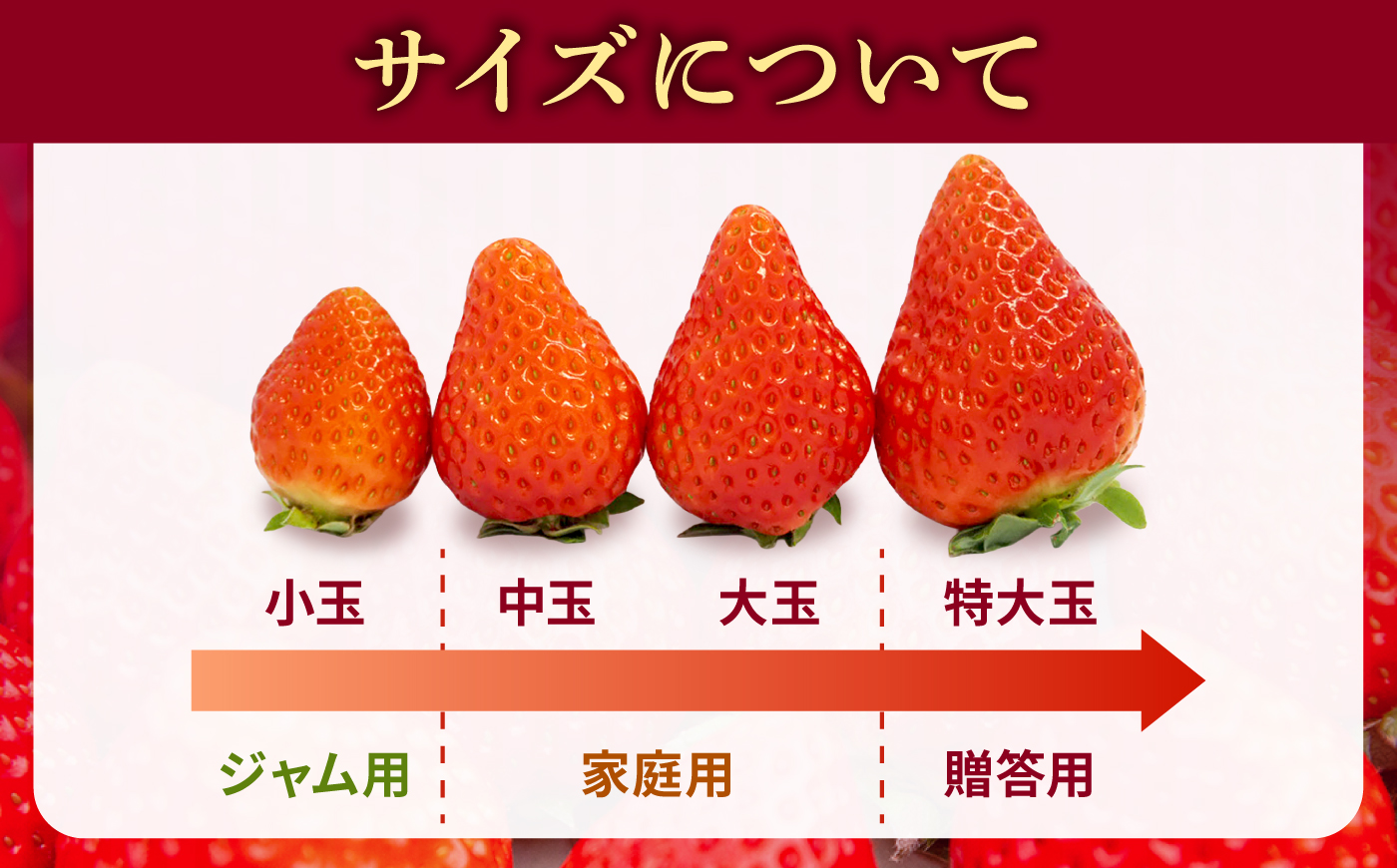 【先行予約】ゆめのか 約250g×4パック【2027年1月以降順次発送】《壱岐市》【Strawberry Gang】 [JEM001] いちご イチゴ 苺 果物 フルーツ スムージー 15000 15000円