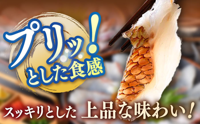 あごだし真鯛しゃぶしゃぶ 2人前《壱岐市》【若宮水産】 [JAH071] たい タイ マダイ 真鯛 鍋 お鍋 魚 鯛茶漬け お茶漬け ごはんのおとも ご飯のお供 12000 12000円 1万円