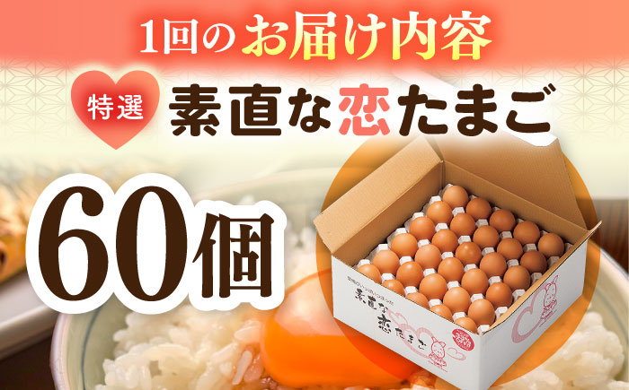 【全3回定期便】特選 素直な恋たまご 60個 《壱岐市》【しまのたまご屋さん】 [JAP003] 卵 たまご 鶏卵 玉子 ギフト 国産 もみじ 卵かけご飯 たまごかけご飯 のし プレゼント ギフト 定期便 39000 39000円