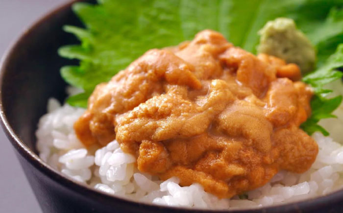 【先行予約】生ウニ 60g 【2026年5月以降順次発送】《壱岐市》【丸昇水産】 うに 雲丹 ウニ 希少 産地直送 ミョウバン不使用 無添加 [JFZ005]