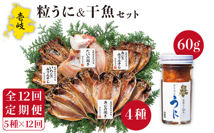 【全12回定期便】紫うに・干魚セット ウニ うに 干物 ひもの あじ アジ いわし イワシ みりん干し 定期便 [JAO032]   300000 300000円 30万円