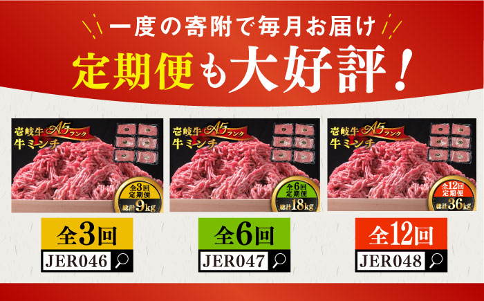 壱岐牛 A5ランク 牛ミンチ 約500g×6《壱岐市》【KRAZY MEAT】[JER042] 小分け ミンチ 挽き肉 ひき肉 牛肉 赤身 ハンバーグ 肉 個包装 34000 34000円