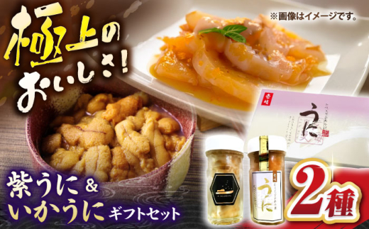 紫うに＆いかうにギフトセット《壱岐市》【壱岐市農業協同組合】ウニ 雲丹 うに 紫ウニ 紫雲丹 紫うに いかうに 希少 冷凍配送 [JBO154]