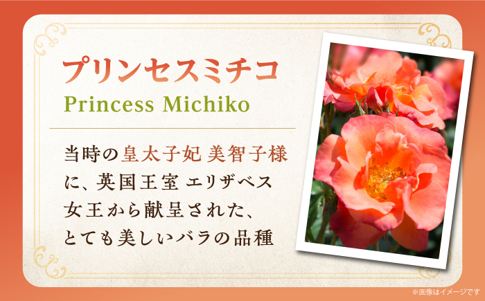 【先行予約】純米大吟醸 Princess Michiko 720ml（16度）【2024年11月以降順次発送】《壱岐市》【天下御免】 横山蔵 重家酒造 日本酒 酒 お酒 純米 大吟醸 大吟醸酒 15000 15000円 [JDB359]