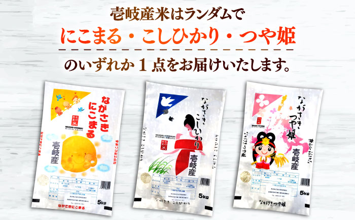 壱岐産米と壱岐牛カレー中辛セット 《壱岐市》【壱岐フードファクトリー】 白米 ごはん ご飯 カレー レトルト 食品 レンジ 仕送り 肉 牛肉 和牛 壱岐牛 [JDW154]