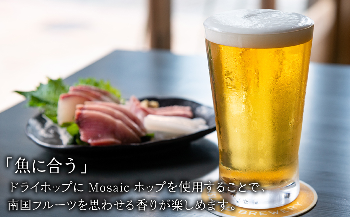 【全2回定期便】クラフトビール IPA 6本【ISLAND BREWERY】《壱岐市》【原田酒造有限会社】ビール 酒 beer 魚に合う アルコール [JED038]