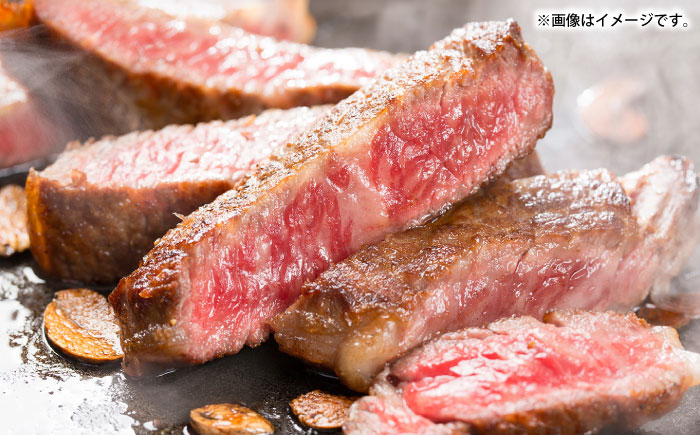 【全12回定期便】壱岐牛サーロインステーキ＆壱岐牛プライムセット《壱岐市》【壱岐フードファクトリー】カレー サーロイン ステーキ 壱岐牛 [JDW124]