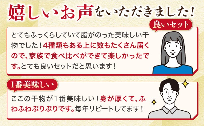 干物セット 4種 計13枚 《壱岐市》【長田商店】[JAO005] 干もの 干魚 海鮮 海産物 ひもの セット 詰め合わせ 食べ比べ あじ アジ 鯵 いわし イワシ 鰯 鯛 たい タイ 13000 13000円