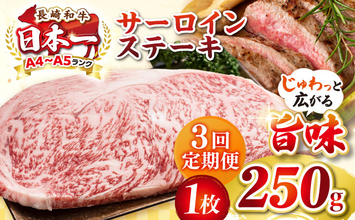 【全3回定期便】【A4〜A5ランク】長崎和牛 サーロインステーキ 250g（250g×1枚）《壱岐市》【株式会社MEAT PLUS】 肉 牛肉 黒毛和牛 サーロイン ステーキ ご褒美 ギフト 贈答用 ご褒美 冷凍配送 A4 A5 [JGH124]