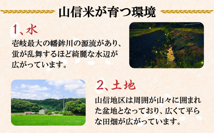 壱岐産 山信米 5kg《壱岐市》【イキテイク合同会社】 穀物 精米 白米 天日干し [JFG001] 23000 23000円 