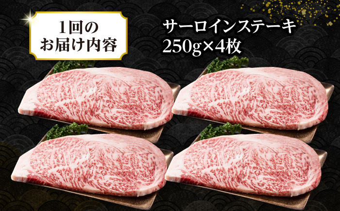 【全2回定期便】【A4〜A5ランク】長崎和牛 サーロインステーキ 1kg（250g×4枚）《壱岐市》【株式会社MEAT PLUS】 肉 牛肉 黒毛和牛 サーロイン ステーキ ご褒美 ギフト 贈答用 ご褒美 冷凍配送 A4 A5 [JGH131]