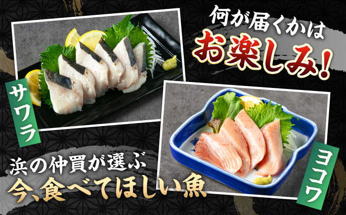 【2回定期便】 ＼壱岐島勝本漁港直送！／島の刺身セット 竹コース（150g×5パック） 《壱岐市》【あかりや】 お刺身 刺し盛り 刺盛り 鮮魚 海鮮 海鮮丼 お造り 小分け タイ マグロ カツオ イカ ブリ クエ 詰め合わせ セット [JFO013]