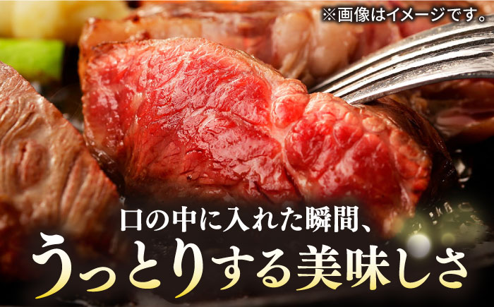 【全6回定期便】極上 壱岐牛 A5ランク 希少部位 赤身ステーキ 200g×4枚（雌）部位おまかせ《壱岐市》【KRAZY MEAT】 [JER010] ステーキ 赤身 希少部位 牛肉 肉 ランプ 300000 300000円 30万円