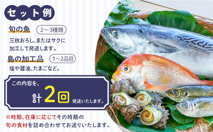 【全2回定期便】壱岐産食材詰め合わせBOX「魚」《壱岐市》【壱岐イルカパーク＆リゾート】塩 醤油 卵 魚介類 海鮮 [JBF036]