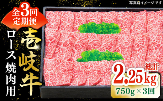 【全3回定期便】 特選 壱岐牛 ロース 750g（焼肉用）《壱岐市》【太陽商事】[JDL076] お肉 牛肉 和牛 黒毛和牛 肉 高級 霜降り 焼肉 ロース肉 BBQ ローストビーフ 贈答 九州 150000 150000円 15万円