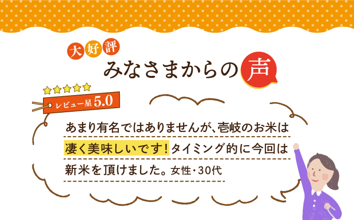 壱岐産 つや姫 10kg 《壱岐市》【壱岐市農業協同組合】 米 お米 ご飯 お弁当 常温発送 [JBO143]