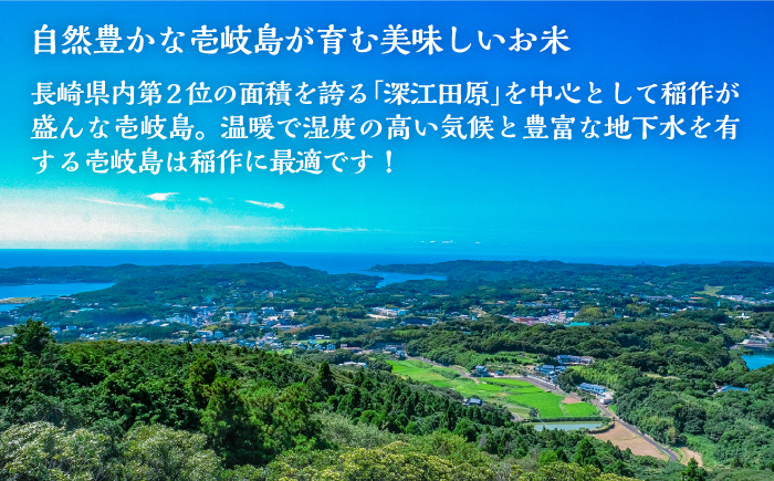 壱岐産 にこまる 10kg 《壱岐市》【壱岐市農業協同組合】[JBO144] 米 お米 ご飯 ごはん 白米 お弁当 新米 朝食 常温 20000 20000円