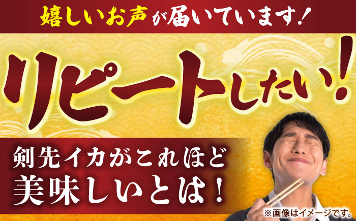 【冷凍】剣先イカ 刺身用 1kg　剣先烏賊 《壱岐市》 【一支國屋】海鮮 烏賊 イカ いか 刺身 刺し身 お刺身 剣先イカ 冷凍配送 [JCC021]