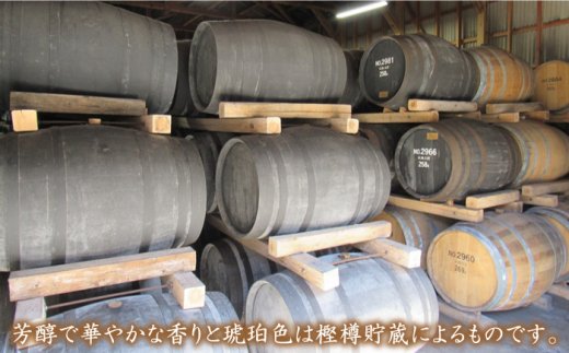 【全6回 定期便 】麦焼酎 壱岐 スーパーゴールド 22度 33度 セット 《 壱岐市 》【天下御免】[JDB105]   90000 90000円 9万円