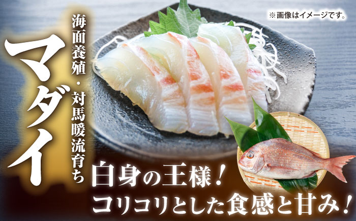 【壱岐島直送】プレミアム海鮮4種食べ比べ刺身セット≪壱岐市≫【なかはら】 冷凍配送 刺身 小分け 産地直送 お刺身 刺し身 寿司 海鮮 [JDT081]