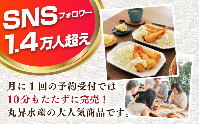 丸昇水産のおっきなエビフライ　6本×3パック《壱岐市》【丸昇水産】　冷凍 揚げ物 エビフライ ギフト 贈り物 取り寄せ 揚げるだけ [JFZ006]