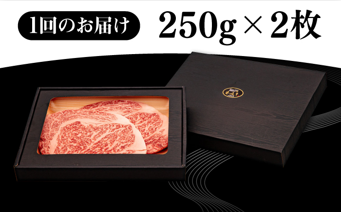 【全2回定期便】 壱岐牛 リブロースステーキ 500g《壱岐市》【株式会社イチヤマ】 肉 牛肉 リブロース ステーキ BBQ 焼肉 [JFE123]