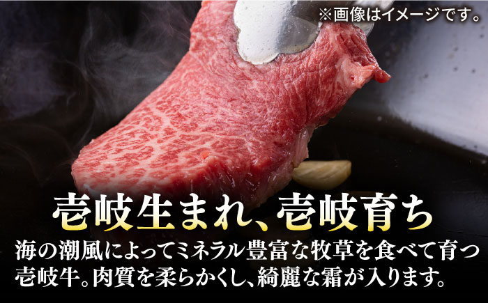 【30日間バター熟成】壱岐牛 A5ランク 希少部位 赤身ステーキ 200g×2枚（雌）部位おまかせ《壱岐市》【KRAZY MEAT】[JER030] ステーキ 赤身 希少部位 牛肉 肉 焼肉 A5 34000 34000円