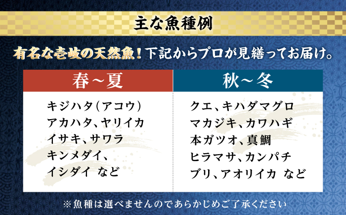＼壱岐島勝本漁港直送！／島の刺身セット 松コース（150g×6パック） 《壱岐市》【あかりや】 お刺身 刺し盛り 刺盛り 鮮魚 海鮮 海鮮丼 お造り 小分け タイ マグロ カツオ イカ ブリ クエ 詰め合わせ セット [JFO009]