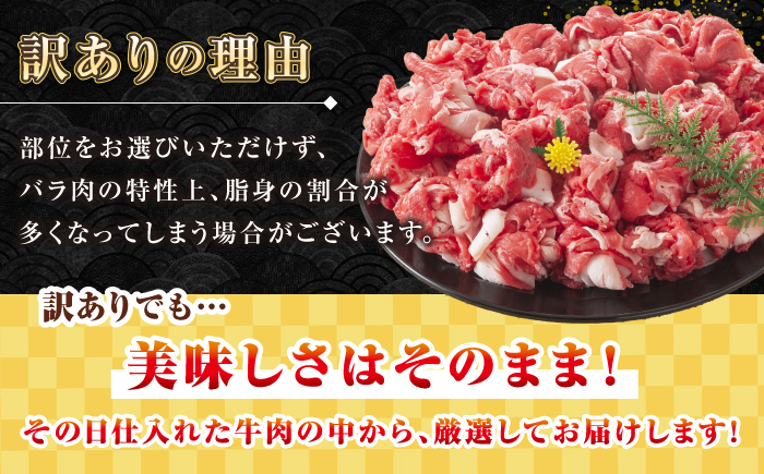 【訳あり】【A4~A5ランク】長崎和牛 切り落とし 1kg(500g×2パック）《壱岐市》【株式会社MEAT PLUS】 肉 牛肉 黒毛和牛 焼き肉 ご褒美 冷凍配送 訳あり A5 黒毛和牛 ギフト [JGH002]