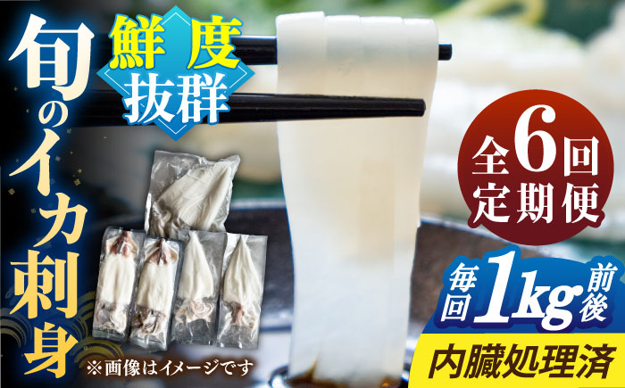 【全6回定期便】旬のイカ刺身1kg前後《壱岐市》【馬渡水産】イカ いか 烏賊 剣先 アオリ あおり スルメ するめ 刺身 刺し身 お刺身 海鮮 魚貝 冷凍配送 産地直送 [JAQ032] 100000 100000円 10万円