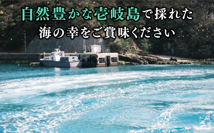 一汐うに 60ｇ×2本 ≪壱岐市≫【馬渡水産】 冷凍配送 雲丹 塩うに ご飯に合う 珍味 希少 お取り寄せ ウニ [JAQ014]