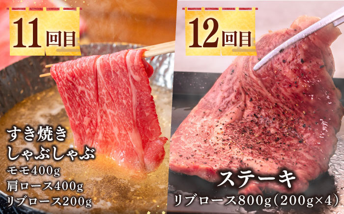 【全12回定期便】《50万》 壱岐牛＆長崎和牛 ギュギュギュ 定期便 （壱）《壱岐市》 肉 ステーキ 焼肉 しゃぶしゃぶ すき焼き 赤身 [JZX010] 500000 500000円 50万円