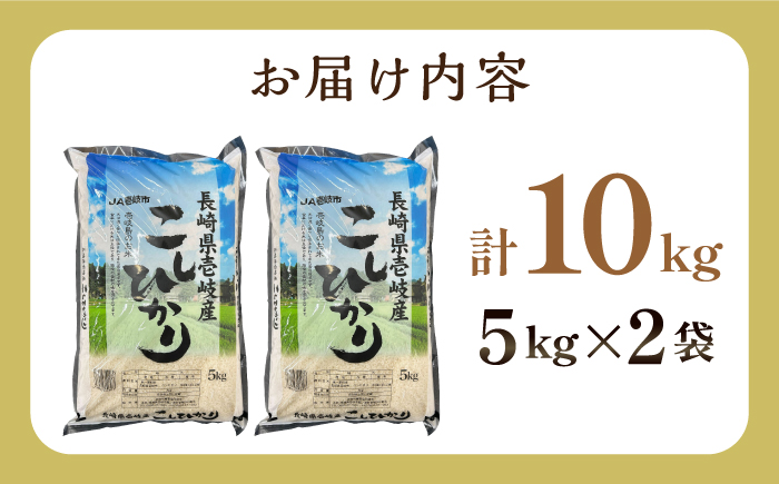 壱岐産 こしひかり 10kg 《壱岐市》【壱岐市農業協同組合】 米 お米 ご飯 お弁当 常温発送 [JBO145]