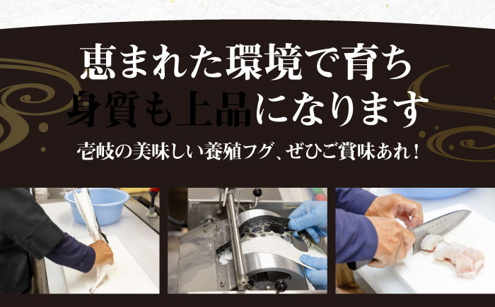 とらふぐ 鍋セット（2～3人前）《壱岐市》【なかはら】[JDT086] ふぐ フグ 河豚 とらふぐ トラフグ 鍋 ふぐ鍋 フグ鍋 とらふぐ鍋 トラフグ鍋 てっちり 海鮮鍋 魚介鍋 [JDT086]