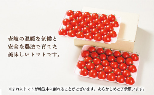 【贈答用トマト】ママなかせ 2kg 計60粒《壱岐市》【壱岐の潮風】[JAE004] トマト ミディトマト フルティカ 野菜 ギフト ギフトボックス プレゼント 贈り物 化粧箱 19000 19000円