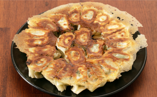 ひとくち餃子18個入×5パック《壱岐市》【壱岐市農業協同組合】 [JBO150]