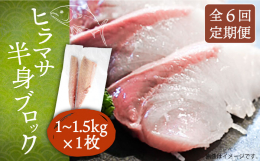 【全6回定期便】ヒラマサフィレ 約1〜1.5kg（半身）《壱岐市》【なかはら】[JDT040] ヒラマサ フィレ 柵 刺身 刺身ブロック 刺し身 切身 冷凍 海鮮 海鮮丼 162000 162000円 冷凍配送