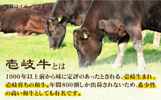 《A4〜A5ランク》壱岐牛ロース500g（ロース250g・肩ロース250g）・旬の野菜5品《壱岐市》【壱岐市農業協同組合】[JBO039] 肉 牛肉 すき焼き しゃぶしゃぶ 鍋 ロース 新鮮 やさい ベジタブル 詰め合わせ セット 31000 31000円