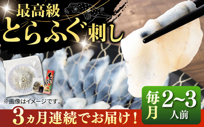 【全3回定期便】とらふぐ 刺身 （2〜3人前）《壱岐市》【なかはら】[JDT024] ふぐ フグ 河豚 とらふぐ トラフグ 刺身 刺し身 ふぐ刺し フグ刺し とらふぐ刺し トラフグ刺し てっさ ふぐ刺身 とらふぐ刺身   冷凍配送 60000 60000円 6万円