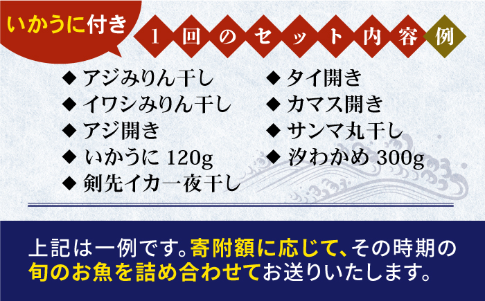 【全2回定期便】旬の海産物セットＣ《壱岐市》【朝市　マルミ海産物】アジ みりん干し イワシ 剣一夜干し 剣先イカ [JCY023]