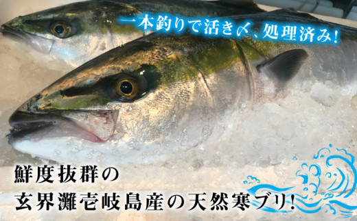 壱岐島産天然寒ブリ（8ｷﾛ台・3枚おろし） [JBS013]