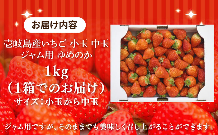 【ジャム用】ゆめのか（小玉・中玉） 1kg 《壱岐市》【Strawberry Gang】[JEM007] セット いちご イチゴ 苺 果物 フルーツ スムージー お菓子作り ジャム 材料 13000 13000円