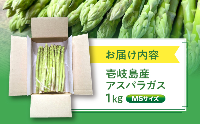 【アスパラガス専門農家が作る！】壱岐産アスパラガス1kg(MSサイズ)≪壱岐市≫【きたじま農園】国産 冷蔵配送 産地直送 朝採れ 新鮮 [JGI004]